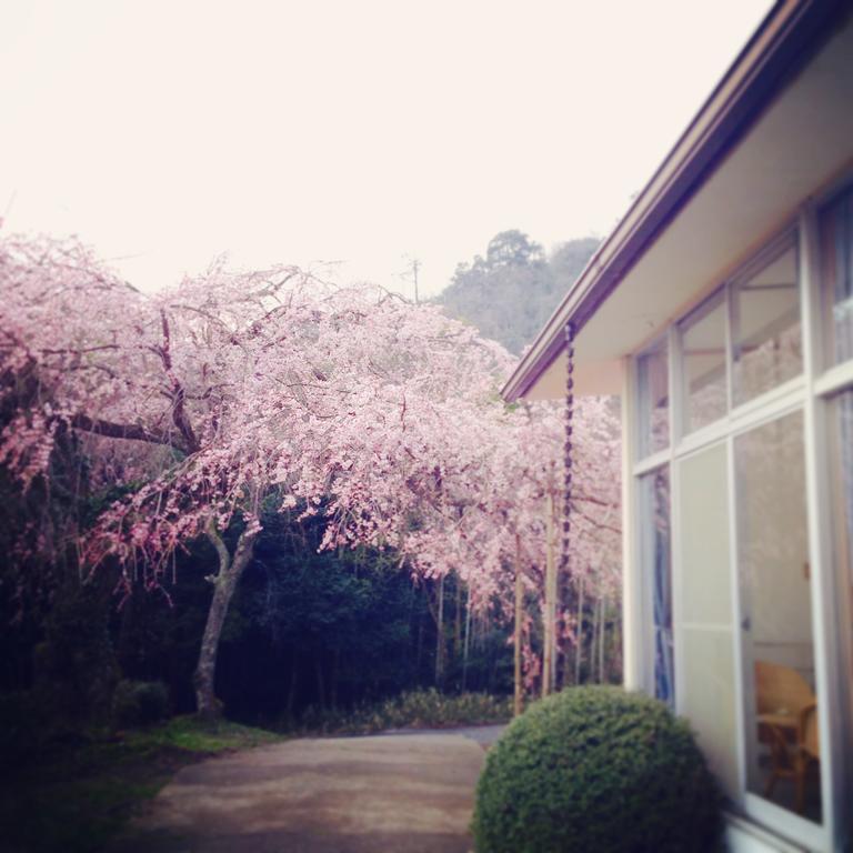 Amanohashidate Youth Hostel Miyazu Buitenkant foto