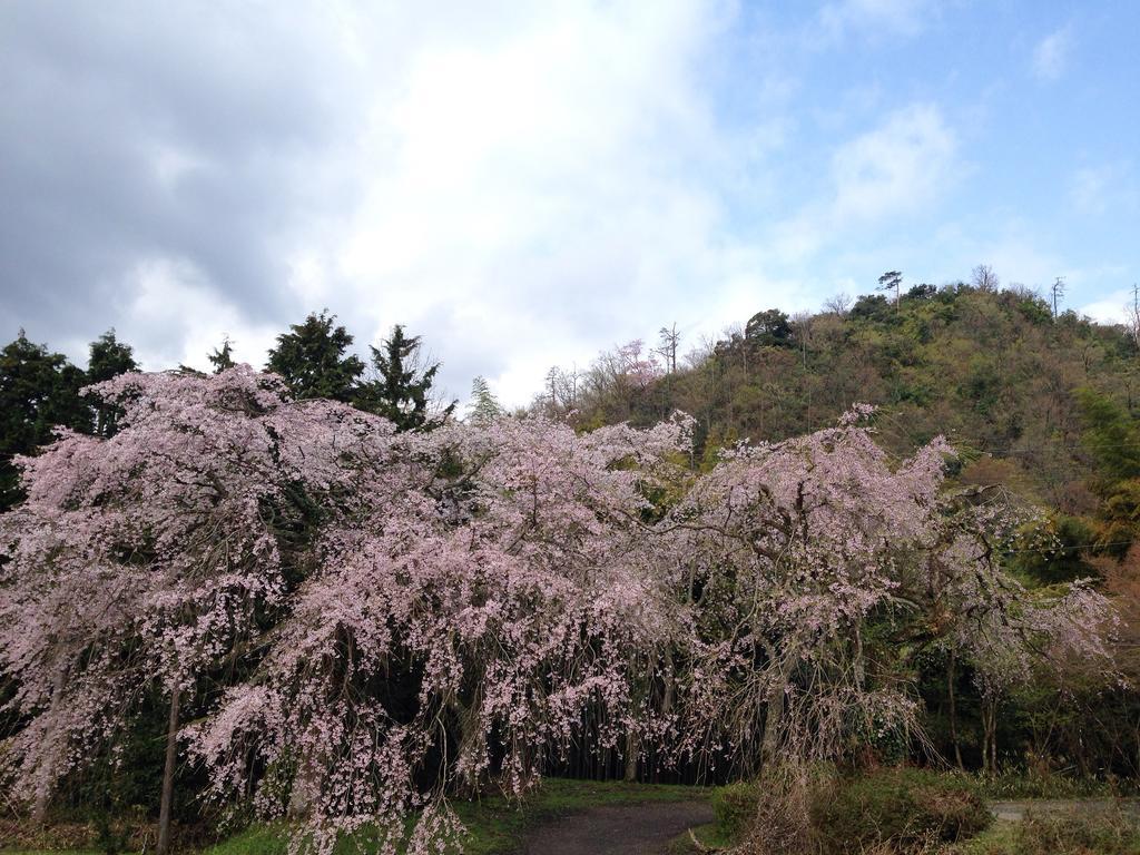 Amanohashidate Youth Hostel Miyazu Buitenkant foto