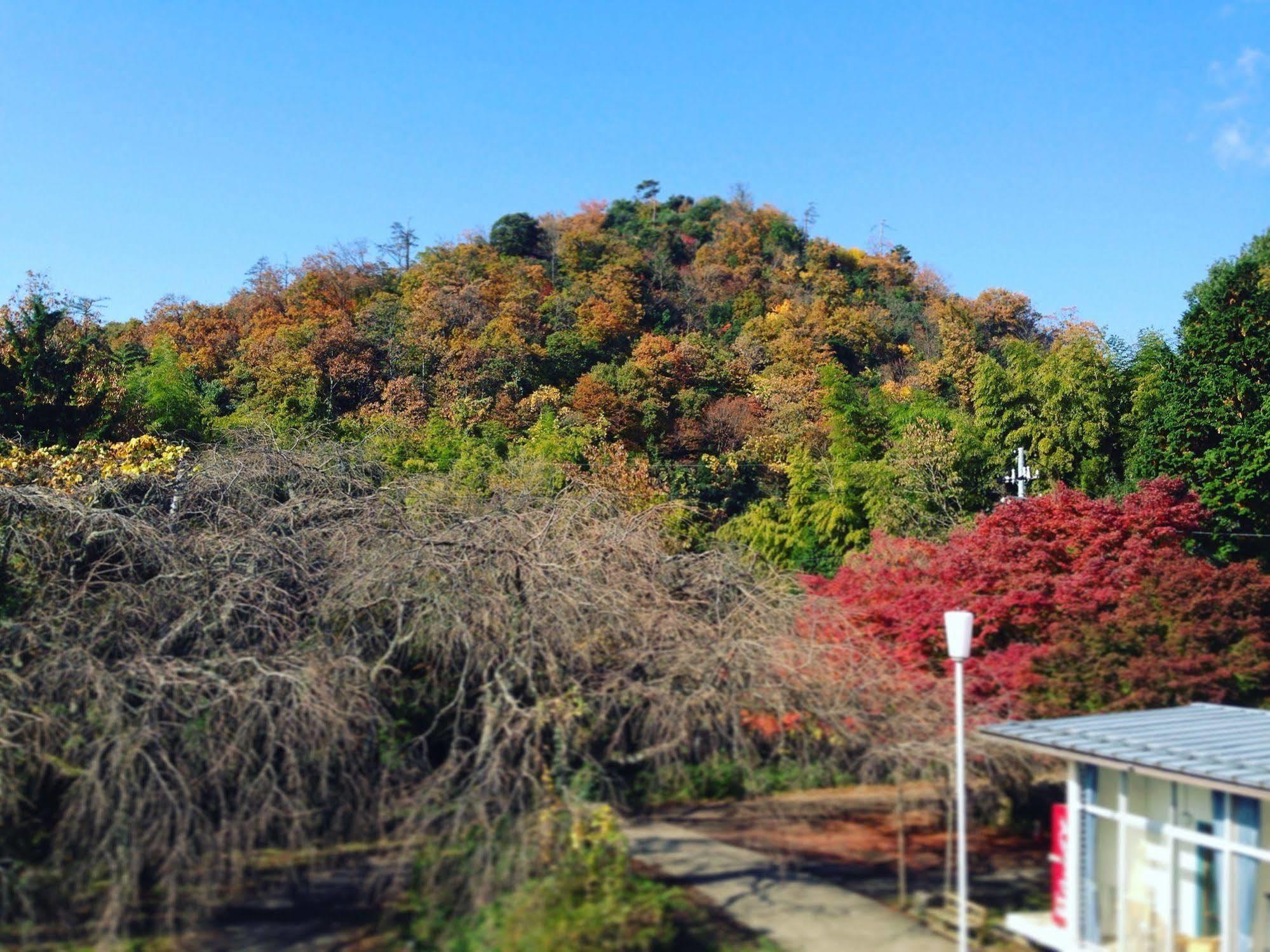 Amanohashidate Youth Hostel Miyazu Buitenkant foto